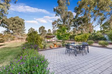 Farm Sold - VIC - Huntly - 3551 - COSY HOME WITH ROOM TO ROAM AND MAKE YOUR OWN  (Image 2)