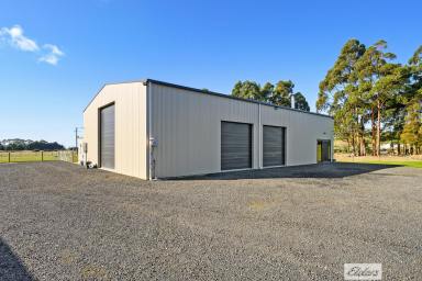 Farm Sold - TAS - Wynyard - 7325 - FABULOUS LOCATION WITH THE SHED YOU HAVE ALWAYS DREAMT ABOUT  (Image 2)