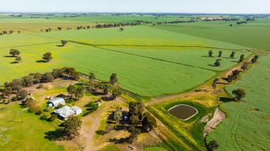 Farm For Sale - NSW - Berrigan - 2712 - "Marylands"  (Image 2)