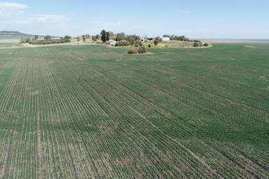 Farm Sold - QLD - Evanslea - 4356 - Valhalla
Picturesque rural acreage set in an enviable private location, 30 minutes from Toowoomba  (Image 2)