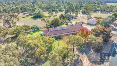 Farm Sold - NSW - Moama - 2731 - Tranquil lifestyle living within Moama's town boundary  (Image 2)