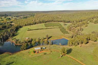 Farm Sold - WA - Thomson Brook - 6239 - Thomson Brook Tranqility  (Image 2)