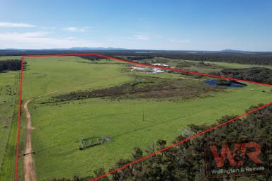 Farm Sold - WA - Marbelup - 6330 - OPPORTUNITY JUST OFF HIGHWAY- 64HA  (Image 2)