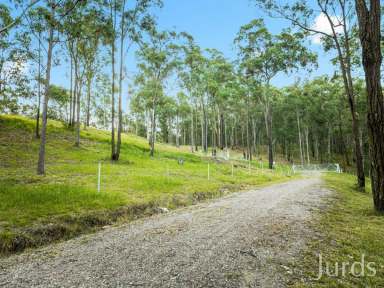 Farm Sold - NSW - Millfield - 2325 - HUNTER VALLEY ACREAGE READY TO BUILD  (Image 2)