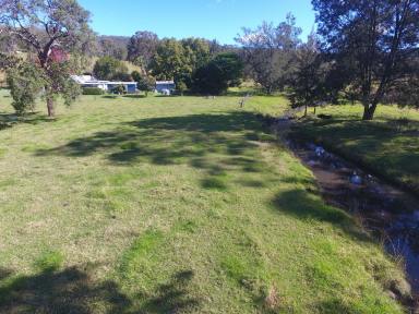 Farm For Sale - NSW - Theresa Creek - 2469 - OASIS AT THERESA CREEK  (Image 2)
