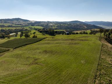 Farm For Sale - NSW - Batlow - 2730 - Exceptional Snowy Valleys District Production & Lifestyle  (Image 2)