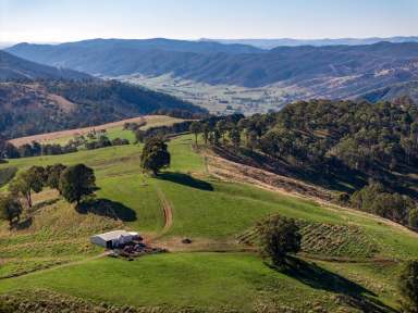 Farm For Sale - NSW - Batlow - 2730 - Exceptional Snowy Valleys District Production & Lifestyle  (Image 2)