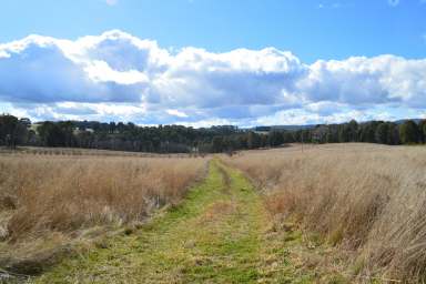 Farm For Sale - NSW - Tumbarumba - 2653 - Additional high rainfall grazing opportunity  (Image 2)