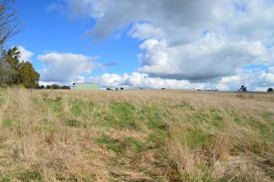 Farm For Sale - NSW - Tumbarumba - 2653 - High rainfall grazing at Foothills of the Snowy Mountains  (Image 2)