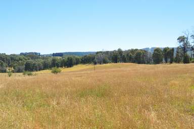 Farm For Sale - NSW - Tumbarumba - 2653 - Additional high rainfall grazing opportunity  (Image 2)