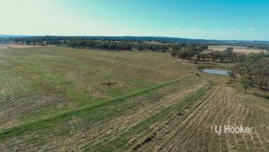 Farm Sold - NSW - Inverell - 2360 - SOLD BY LJ HOOKER INVERELL  (Image 2)