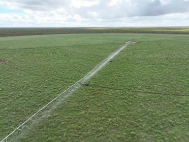 Farm For Sale - WA - Broome - 6725 - Large-scale Grazing with Further Irrigation Development Upside  (Image 2)