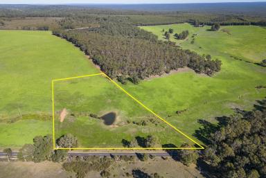 Farm Sold - WA - Nannup - 6275 - IDEAL 7.93 ACRES FOR LIFESTYLE CHANGE  (Image 2)
