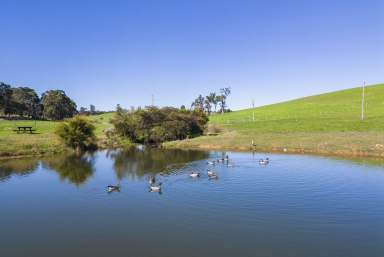 Farm Sold - WA - Nannup - 6275 - IDEAL 7.93 ACRES FOR LIFESTYLE CHANGE  (Image 2)