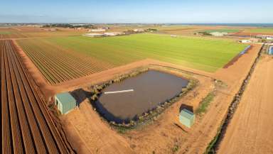 Farm For Sale - VIC - Werribee South - 3030 - Prime Agricultural Land, in the Food-bowl Capital of Australia  (Image 2)