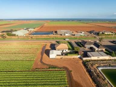 Farm For Sale - VIC - Werribee South - 3030 - Prime Agricultural Land, in the Food-bowl Capital of Australia  (Image 2)