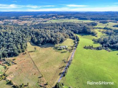 Farm Sold - NSW - Lowanna - 2450 - 52.34 HECTARES WITH RIVER FRONTAGE  (Image 2)