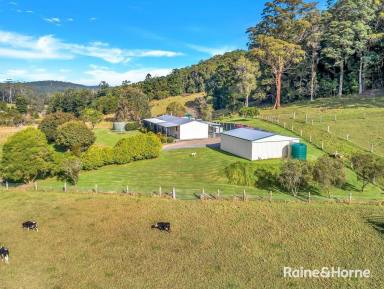 Farm Sold - NSW - Lowanna - 2450 - 52.34 HECTARES WITH RIVER FRONTAGE  (Image 2)