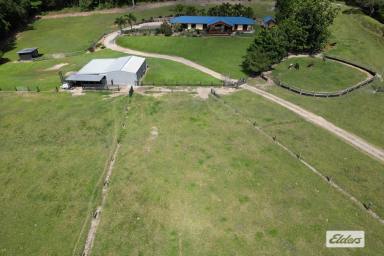 Farm Sold - QLD - Merryburn - 4854 - Sensational property , 10+ Acres…Horse Heaven!!
Dual Accomodation  (Image 2)