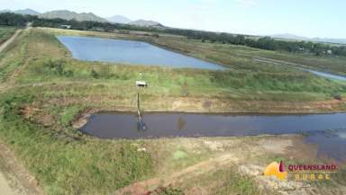 Farm For Sale - QLD - Guthalungra - 4805 - Elliott River Farming  (Image 2)