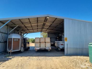Farm For Sale - WA - Eneabba - 6518 - "A Rare Opportunity to Secure a 1 Bed, 1 Bath Home on 40 Acres in Eneabba, WA!"  (Image 2)
