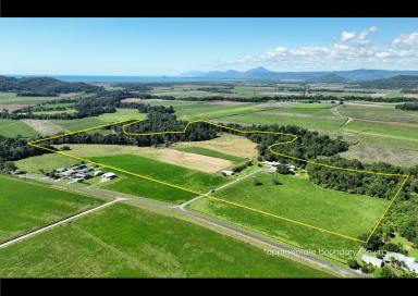 Farm For Sale - QLD - Bamboo - 4873 - Acres of Space, Options and Lifestyle Await.  (Image 2)