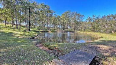 Farm Sold - NSW - Rainbow Flat - 2430 - Embrace the Potential and Tranquility!  (Image 2)