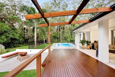 Farm Sold - QLD - Beerwah - 4519 - Luxurious Forest Living with Spectacular Outdoor Entertaining!  (Image 2)
