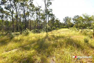 Farm For Sale - QLD - Howard - 4659 - 56 ACRES AVAILABLE FOR LAND DEVELOPMENT.  (Image 2)