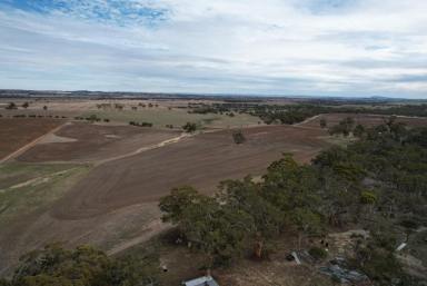 Farm For Sale - WA - Kauring - 6302 - Tranquil rural setting with spectacular views                                 38.27ha (95 acres)  (Image 2)