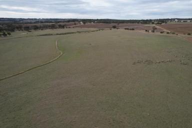 Farm For Sale - WA - Kauring - 6302 - Tranquil rural setting with spectacular views                                 38.27ha (95 acres)  (Image 2)