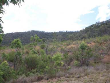 Farm Sold - QLD - Swanfels - 4371 - Lot 2 Rettkes Road, Swanfels - 12.5ha  (Image 2)