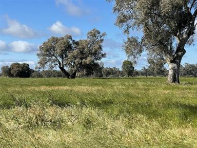 Farm Sold - NSW - Cookardinia - 2650 - PRICE REDUCED!!  Rural Lifestyle Property  (Image 2)