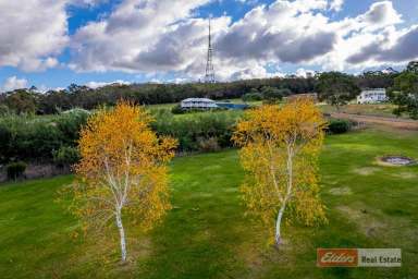 Farm Sold - WA - Mount Barker - 6324 - Rural Living At Its Best!  (Image 2)