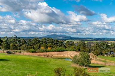 Farm Sold - WA - Mount Barker - 6324 - Rural Living At Its Best!  (Image 2)