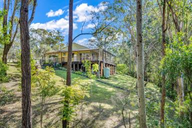 Farm Sold - NSW - Clarence Town - 2321 - Sun drenched, Elevated home on the River  (Image 2)