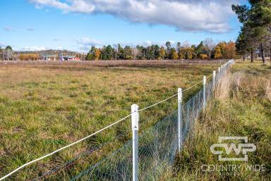 Farm For Sale - NSW - Glen Innes - 2370 - 5 Acres, Ready For Your Dream Home  (Image 2)