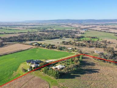 Farm Sold - NSW - Young - 2594 - "Kanangra" 30acs Only 10mins* To Town  (Image 2)