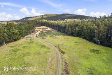 Farm For Sale - TAS - Surges Bay - 7116 - Unique opportunity to secure two titles!  (Image 2)