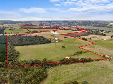 Farm Auction - NSW - Orange - 2800 - First Class Property  (Image 2)
