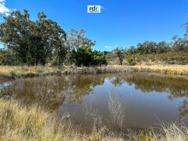 Farm Sold - NSW - Delungra - 2403 - KURRAIAN - YOUR PEACEFUL RETREAT  (Image 2)