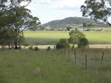 Farm Sold - QLD - East Greenmount - 4359 - "Shannonbourne"  - Lifestyle block with large Homestead  (Image 2)