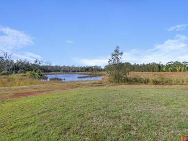 Farm Sold - NSW - Crescent Head - 2440 - Motivated Vendors - 24 Acres Close to Crescent Head!  (Image 2)