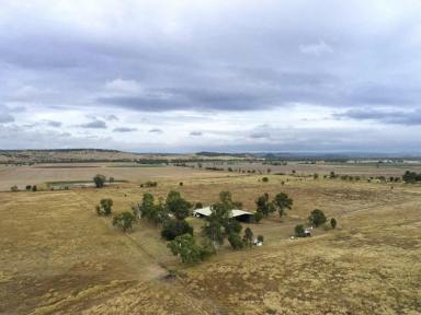 Farm Sold - QLD - Thangool - 4716 - Receivers and Managers' Property Sale  (Image 2)