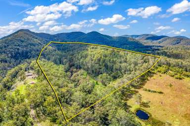 Farm Sold - NSW - Craven - 2422 - Private Rural Retreat  (Image 2)