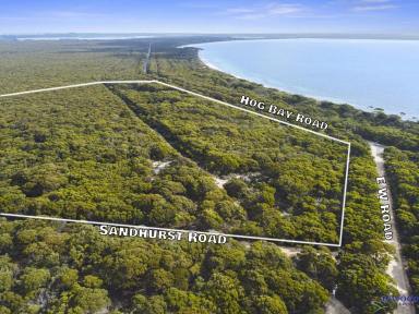 Farm Sold - SA - Dudley West - 5222 - Naturally stunning on KI. 4 bed, 2 bath. 30.7 Ha. Tree top views, 250 m from Browns Beach. Your Island escape awaits.  (Image 2)