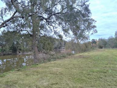 Farm Sold - NSW - Jugiong - 2726 - A piece of Australia to call your own !  (Image 2)