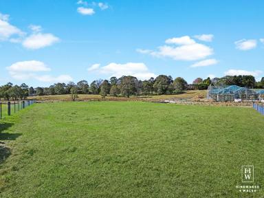 Farm Sold - NSW - Moss Vale - 2577 - Level Acre Block - Plans Available  (Image 2)