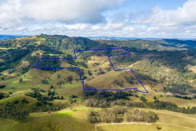 Farm Sold - NSW - East Gresford - 2311 - Your Piece of Paradise!!  (Image 2)