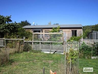 Farm Sold - TAS - Aberdeen - 7310 - PICTURESQUE LIFESTYLE PROPERTY - 1.27 HECTARES (approx 3 acres)  (Image 2)